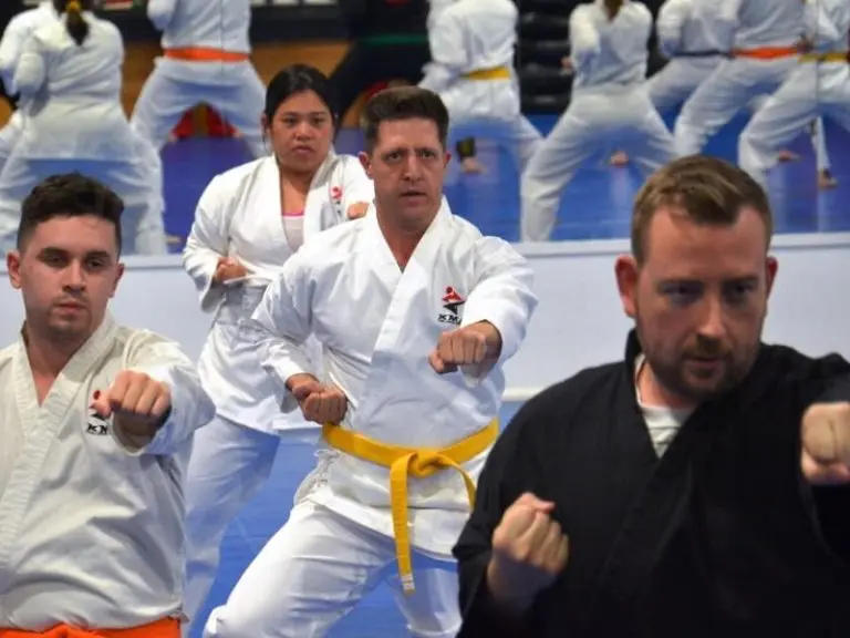 Adult Karate Class