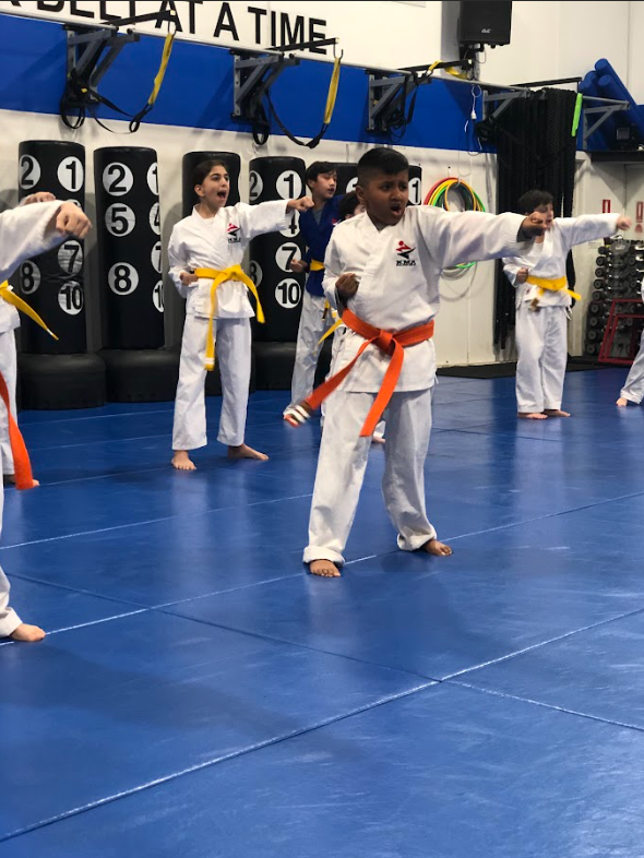 Kids Martial Arts Lesson